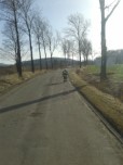 Usuwanie skutkw wichury